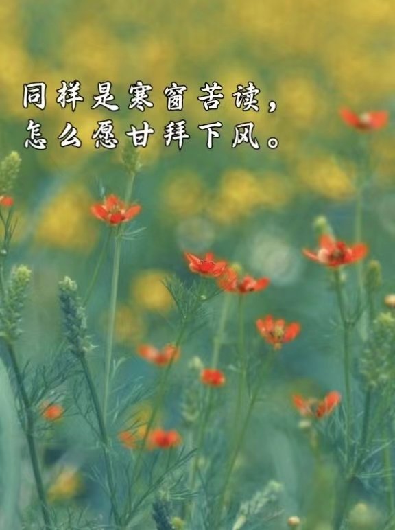 2022年高考安徽省状元是谁？