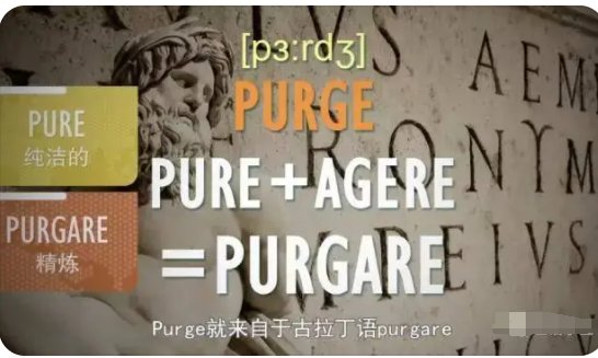 purge什么意思