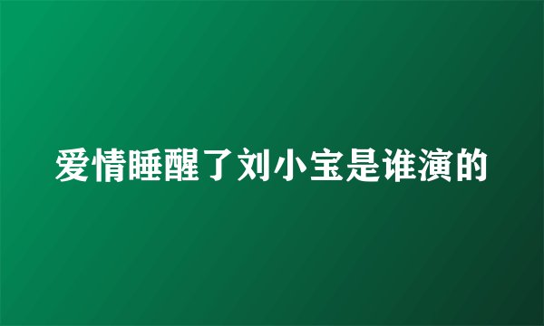爱情睡醒了刘小宝是谁演的