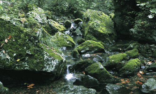 古代专门管山的官员