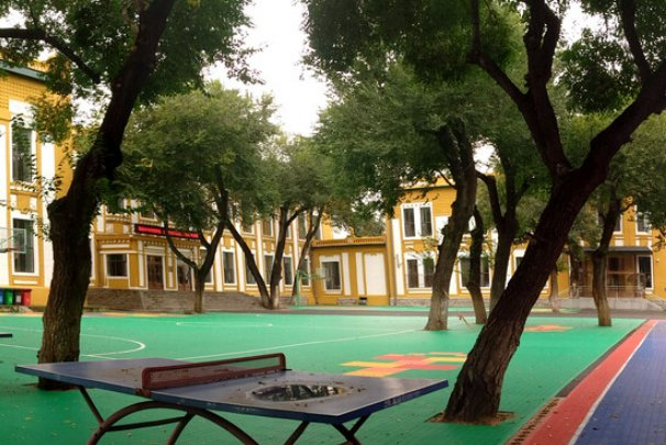 哈尔滨工大附中招生办电话