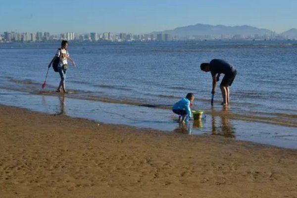 北戴河2023年8月赶海时间表