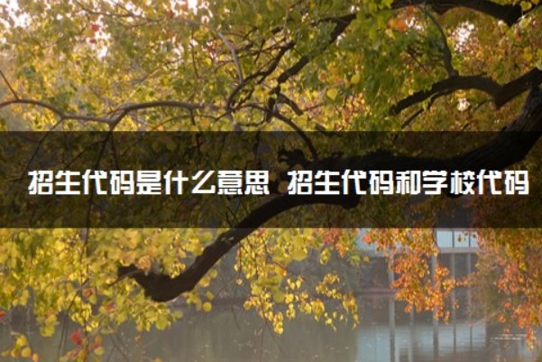 招生代码是什么意思？