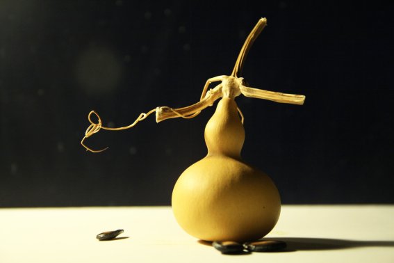 我要的是葫芦的故事告诉我们什么道理