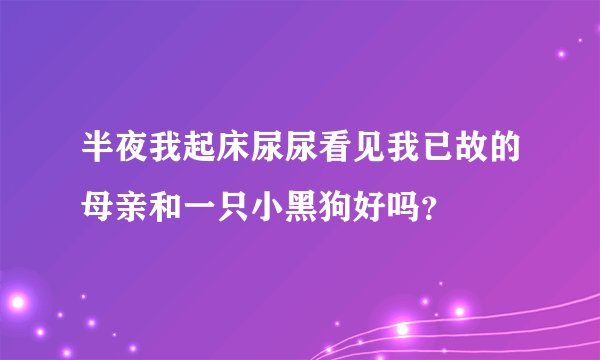 半夜我起床尿尿看见我已故的母亲和一只小黑狗好吗？