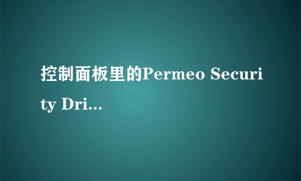 控制面板里的Permeo Security Driver怎么删~~~