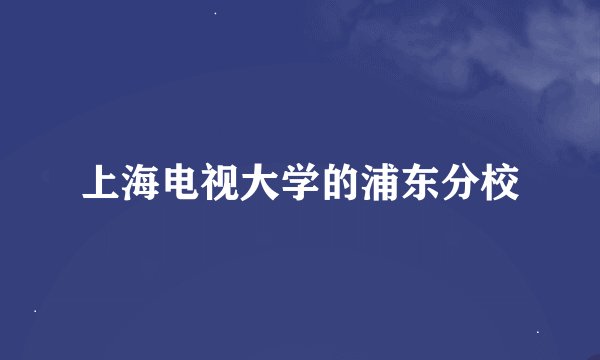 上海电视大学的浦东分校