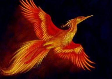 凤凰的凤可以组什么词语