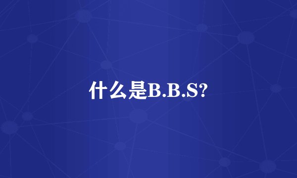 什么是B.B.S?
