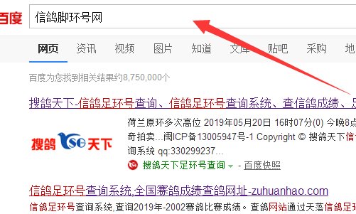 如何在网上查询信鸽的足环号？
