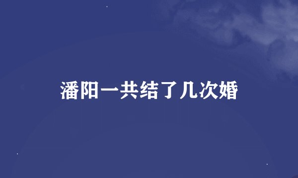 潘阳一共结了几次婚