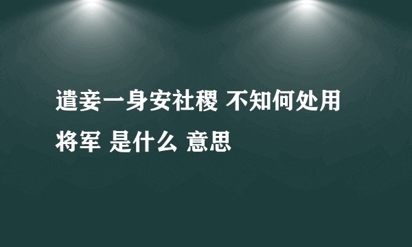遣妾一身安社稷 不知何处用将军 是什么 意思