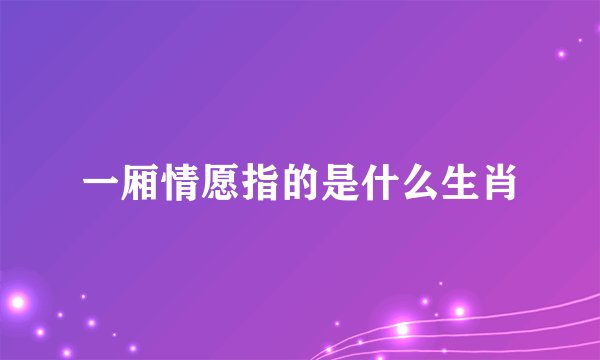 一厢情愿指的是什么生肖