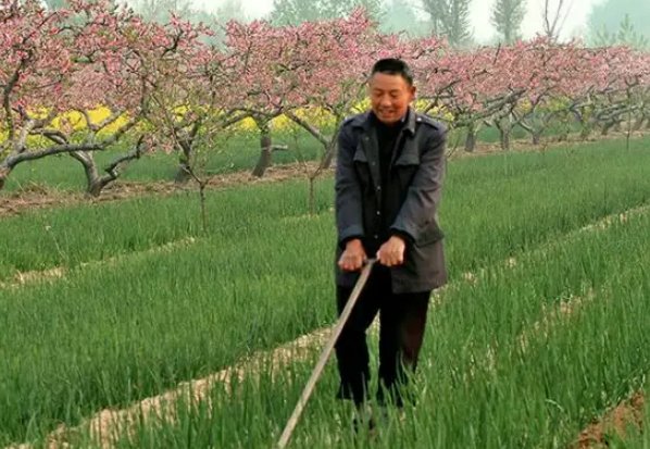 伯伯是爸爸的什么