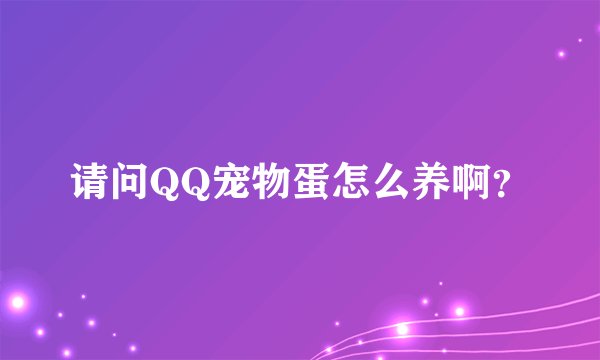 请问QQ宠物蛋怎么养啊？