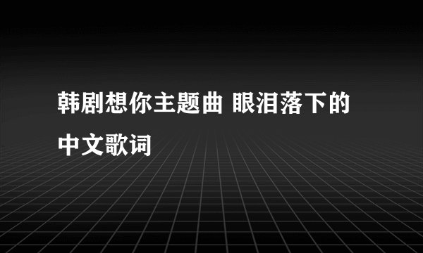 韩剧想你主题曲 眼泪落下的中文歌词