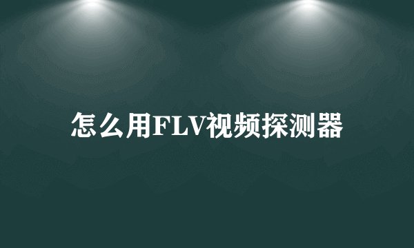 怎么用FLV视频探测器