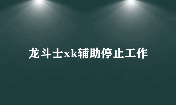龙斗士xk辅助停止工作