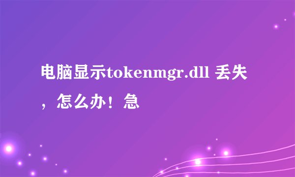 电脑显示tokenmgr.dll 丢失，怎么办！急