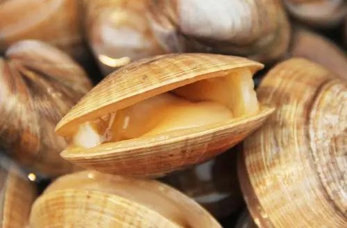 小小的带壳可以吃的肉黄的叫什么