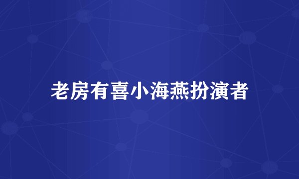 老房有喜小海燕扮演者