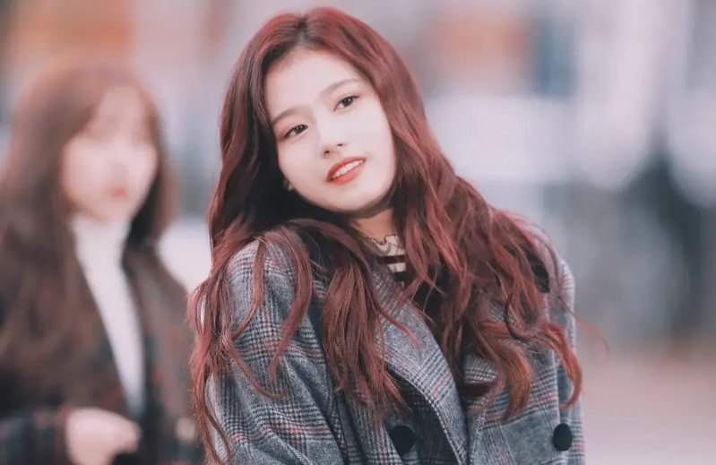 姬圈指的是什么呢?