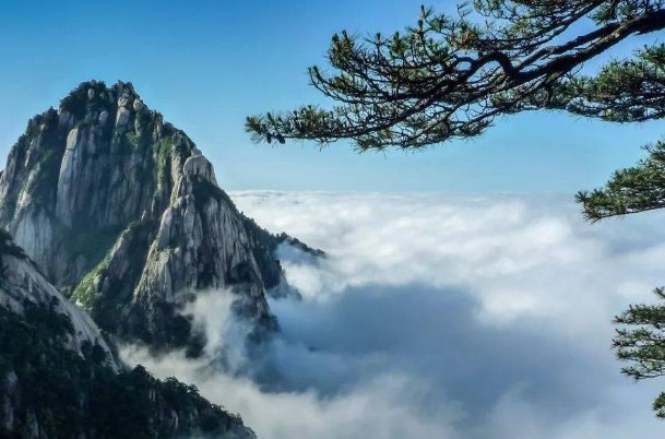 什么动物装怯作勇