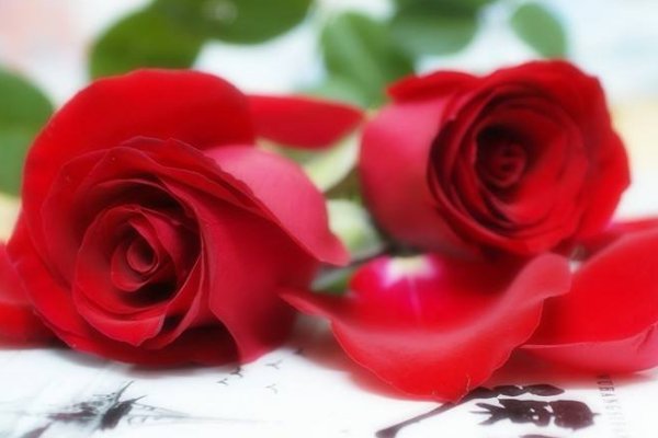 一年中有十四个情人节分别都是什么情人节