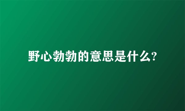 野心勃勃的意思是什么?