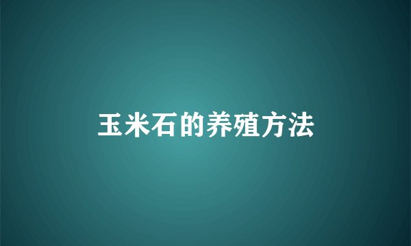玉米石的养殖方法