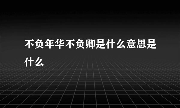 不负年华不负卿是什么意思是什么