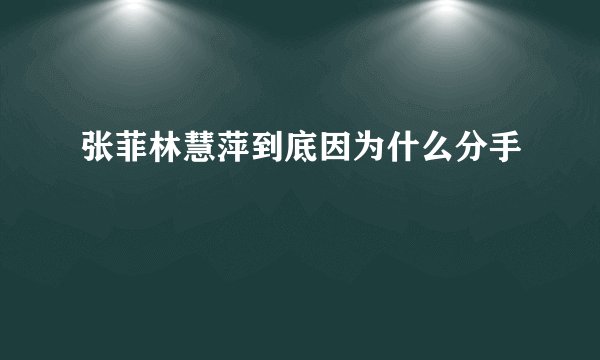 张菲林慧萍到底因为什么分手