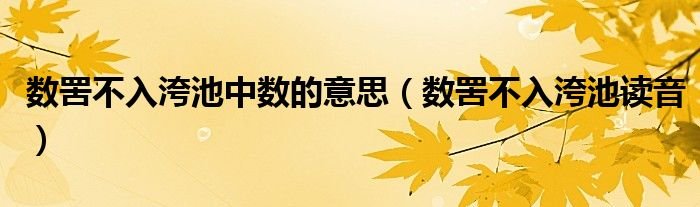 数罟不入洿池中数的意思数罟不入洿池读音