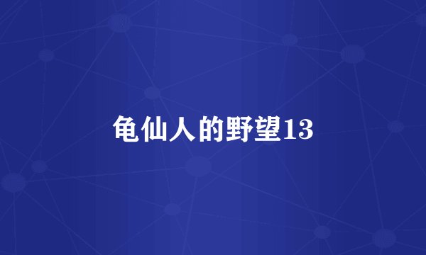 龟仙人的野望13