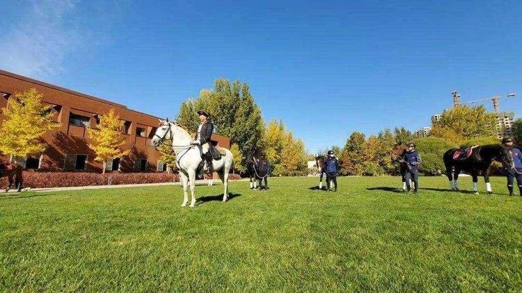 北京开通4.37公里城市马道，此行为传承了哪些文化底蕴？