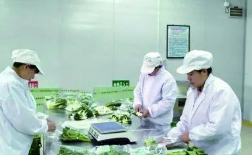 日本精产品一二三产品区别