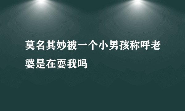 莫名其妙被一个小男孩称呼老婆是在耍我吗