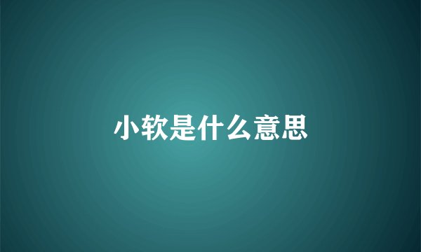 小软是什么意思
