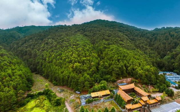 男子杀女友逃匿，藏深山长达16年，深山隐居没人管吗？