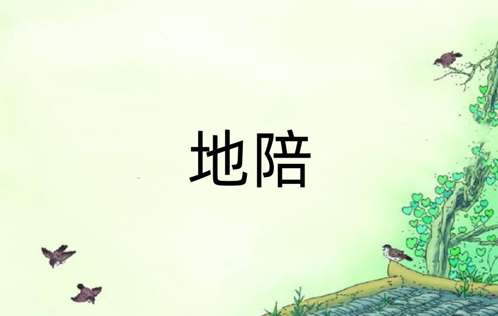 地陪是什么意思