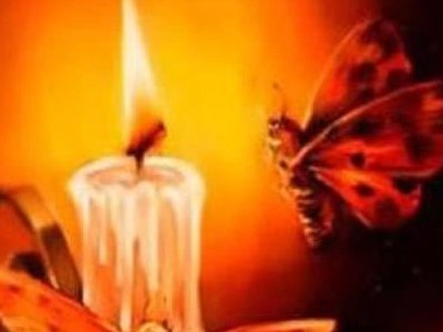 飞蛾扑火什么意思啊。？