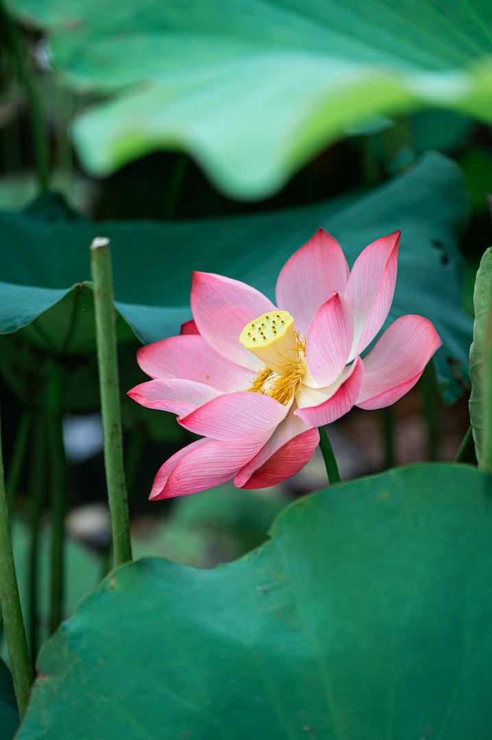 让男朋友瞬间燥热的话有哪些？