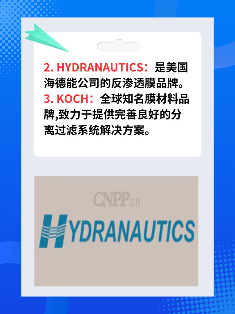 ro膜十大名牌排名