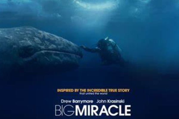 miracle是什么意思