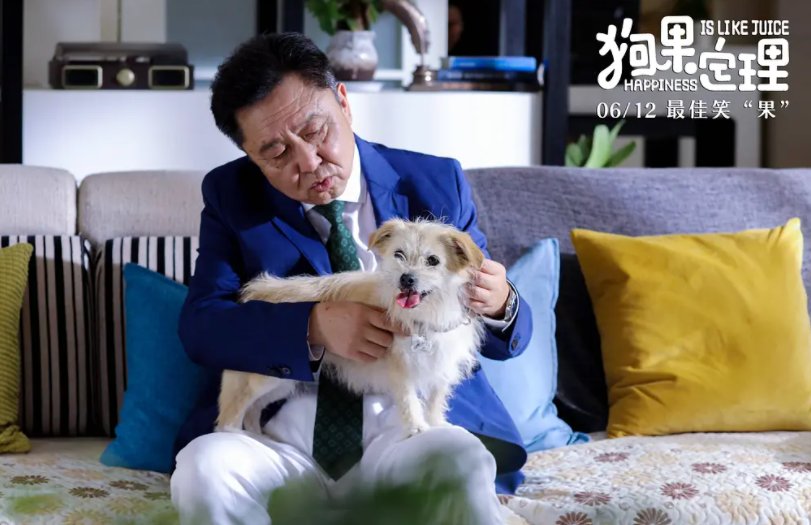 于谦和贾冰强势加盟，如何评价电影《狗果定理》？