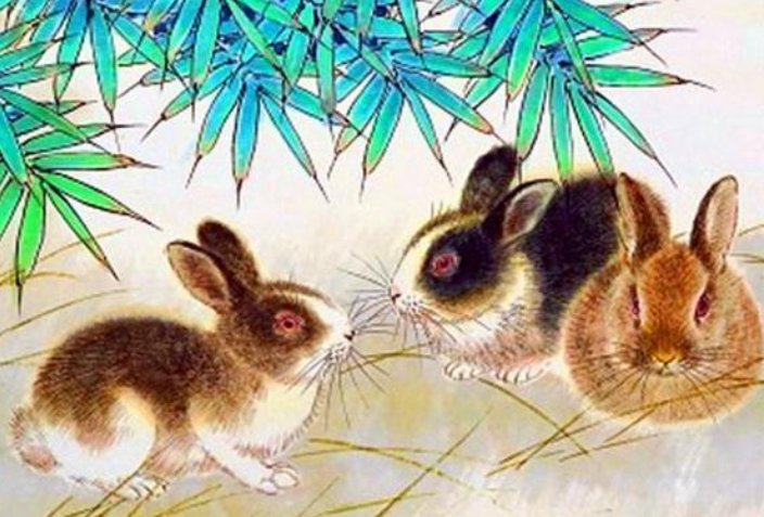 习以成风打一个生肖