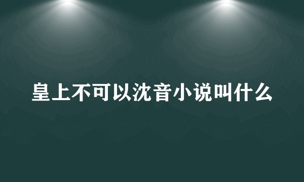 皇上不可以沈音小说叫什么