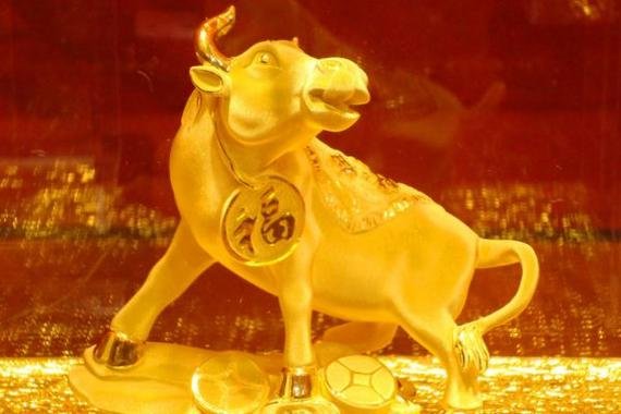 着手回春是指什么生肖动物