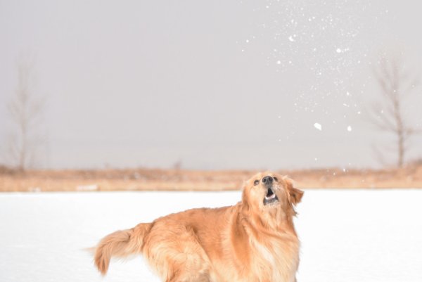 宝贝感受到它在爱你吗