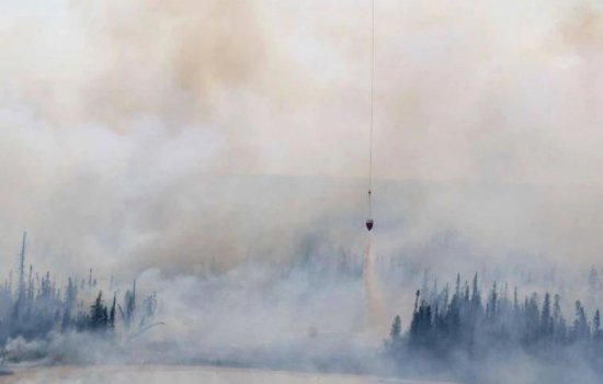 森林着火的事件有哪些？